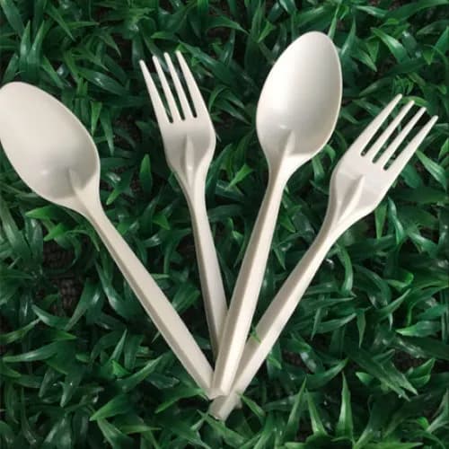 Biodegradable Corn Starch Spoon