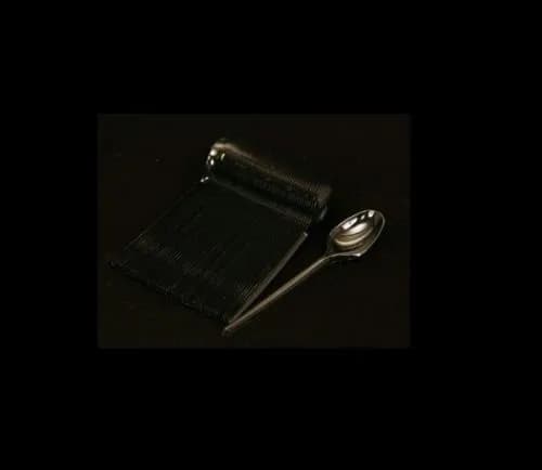 Deccan Hard Spoon